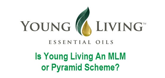 Is Young Living an MLM or Pyramid Scheme? (Reviews)