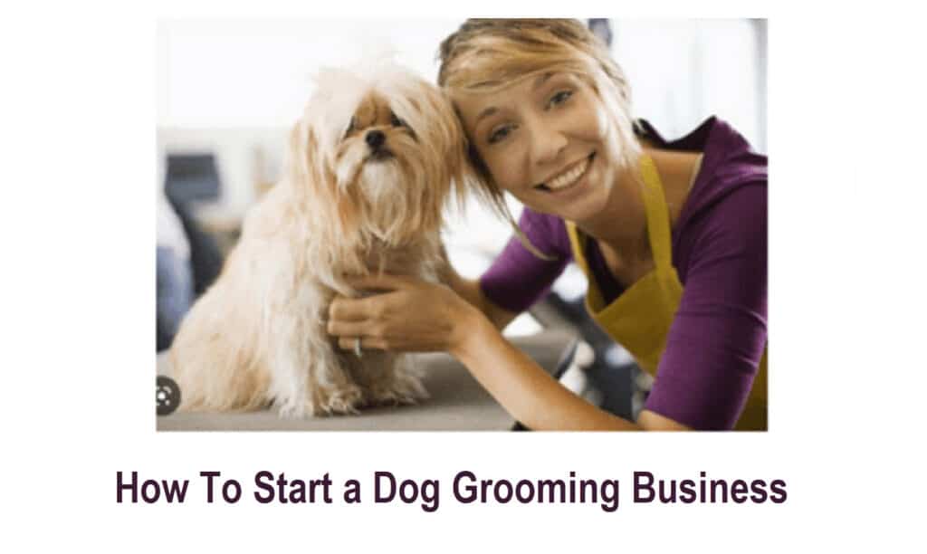 How To Start a Dog Grooming Business