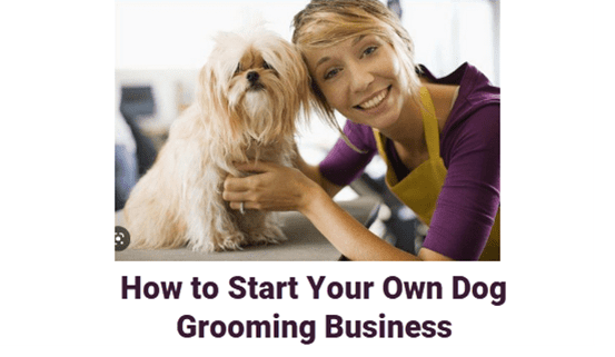 How to Start a Dog Grooming Business  7+ Easy Steps