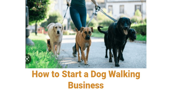 How to Start a Dog Walking Business – 7+ Easy Steps