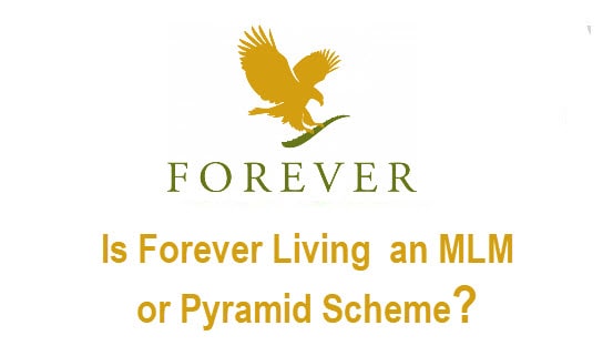 Is Forever Living an MLM or Pyramid Scheme?