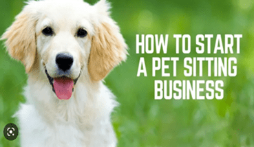 How to Start a Pet Sitting Business – 15+ Easy Steps