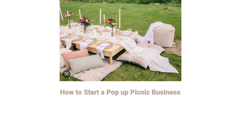 How to Start a Pop up Picnic Business: 